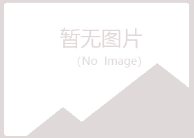 宽城区女孩会计有限公司